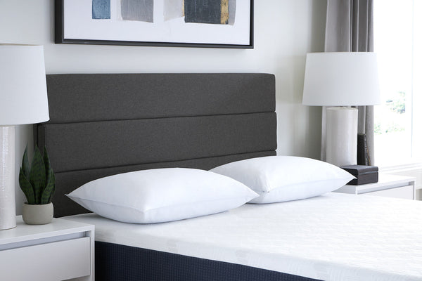 Shredded Foam Pillow Product Image